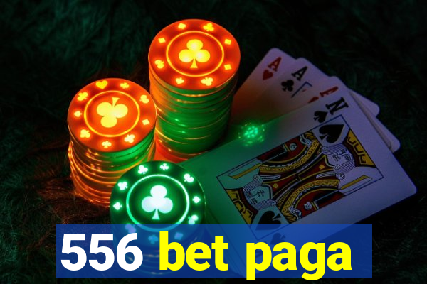 556 bet paga
